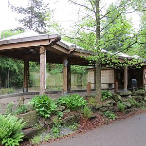 Asian Forest - Komodo Dragon Exhibit Viewing Shelter