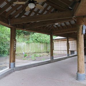 Asian Forest - Komodo Dragon Exhibit