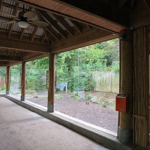 Asian Forest - Komodo Dragon Exhibit