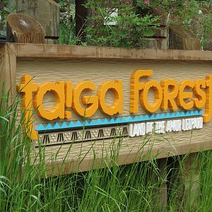 Asian Forest - Taiga Forest Sign