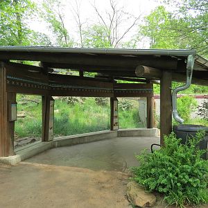 Asian Forest - Amur Leopard Exhibit Viewing Shelter