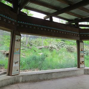 Asian Forest - Amur Leopard Exhibit Viewing Shelter
