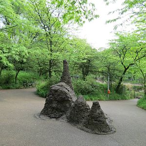 African Savanna - Path