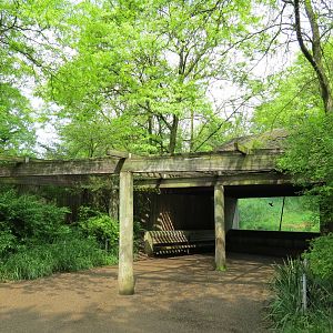 African Savanna - African Lion Exhibit Viewing Shelter
