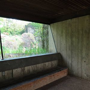 African Savanna - African Lion Exhibit Viewing Shelter