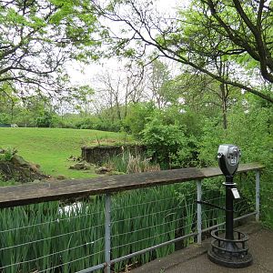 African Savanna - Ostrich, Dama Gazelle, and Springbok Exhibit Viewing Area