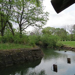 African Savanna - Saba Elephant Reserve