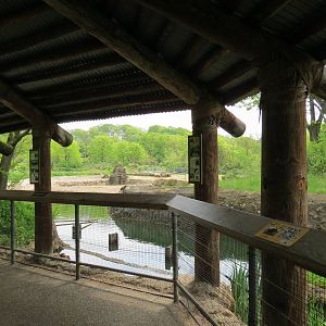 African Savanna - Saba Elephant Reserve Viewing Area