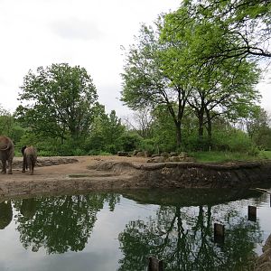 African Savanna - Saba Elephant Reserve