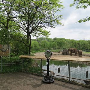 African Savanna - Saba Elephant Reserve Viewing Area