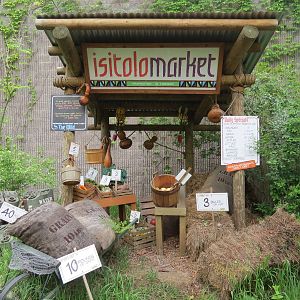 African Savanna - Saba Elephant Reserve Display
