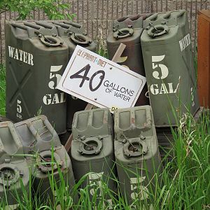 African Savanna - Saba Elephant Reserve Display