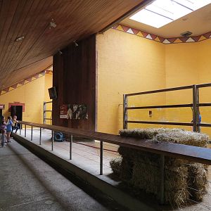 African Savanna - Elephant Care Center Interior