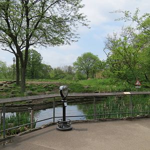 African Savanna - Masai Giraffe Exhibit Viewing Area