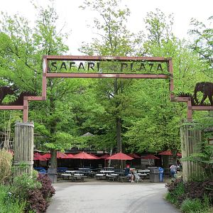 African Savanna - Safari Plaza Entry
