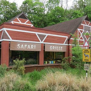 African Savanna - Safari Grill