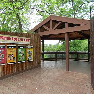 African Savanna - Painted Dog Bush Camp Viewing Shelter (Demolished)