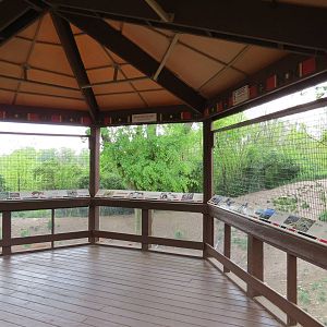African Savanna - Painted Dog Bush Camp Viewing Shelter (Demolished)