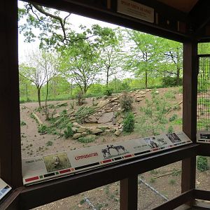 African Savanna - Painted Dog Bush Camp Viewing Shelter (Demolished)