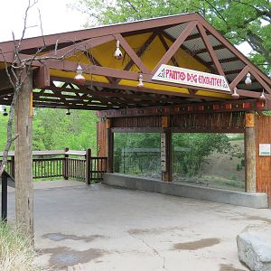 African Savanna - Painted Dog Bush Camp Viewing Shelter
