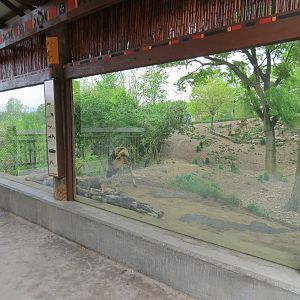 African Savanna - Painted Dog Bush Camp Viewing Shelter