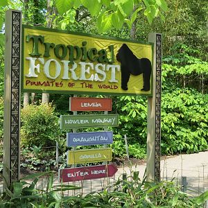 Tropical Forest - Entry Sign