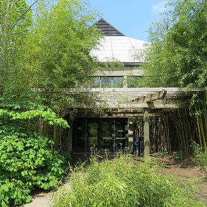 Tropical Forest - Exterior