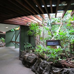 Tropical Forest - Visitor Path