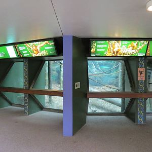 Tropical Forest - Orangutan Exhibit Viewing Area