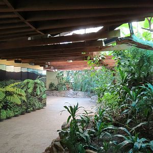 Tropical Forest - Visitor Path