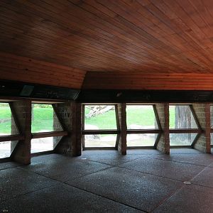 Tropical Forest - Lowland Gorilla Outdoor Exhibit Viewing Area
