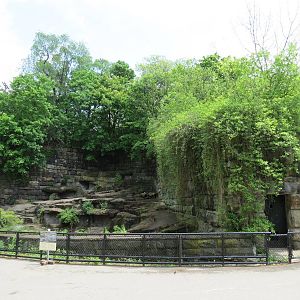 Bears - First Grotto (Empty)