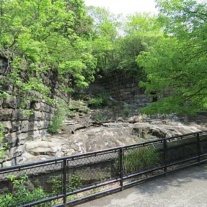 Bears - Second Grotto (Empty)