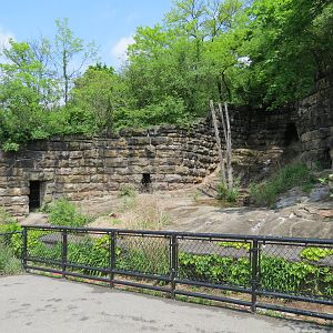 Bears - Third Grotto (Empty)