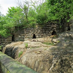 Bears - Fourth Grotto - American Black Bear Exhibit