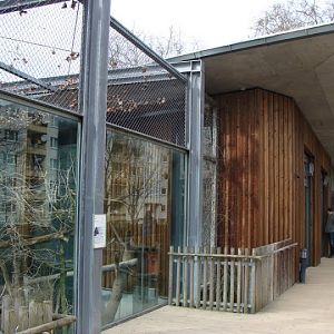 Paddock of Cryptoprocta ferox