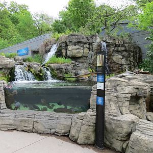 PPG Aquarium - Longnose Gar Exhibit