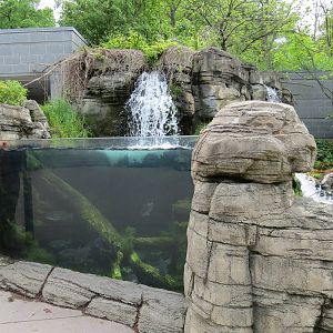PPG Aquarium - Largemouth Bass and Walleye Exhibit