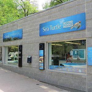 PPG Aquarium - Sea Turtle Rehabilitation Exhibit