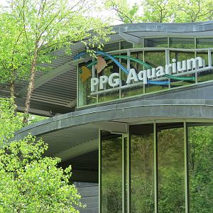 PPG Aquarium - Exterior