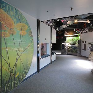 PPG Aquarium - A Freshwater Fortune - Entry