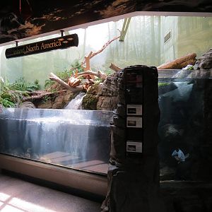 PPG Aquarium - A Freshwater Fortune - Inland North America Exhibits