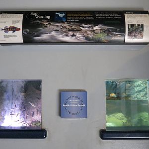 PPG Aquarium - A Freshwater Fortune - Bullfrog and Darter Exhibits