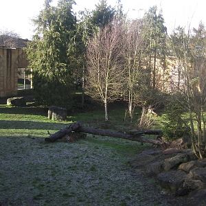 Tiger Enclosure - 09.02.2013