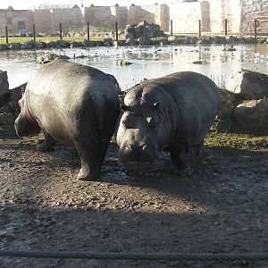 Hippo Lake - 09.02.2013