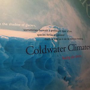 PPG Aquarium - Coldwater Climates - Entry Sign