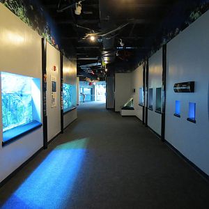 PPG Aquarium - The Coral Reef - Entry