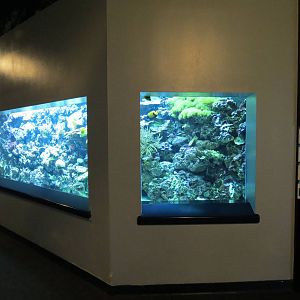 PPG Aquarium - The Coral Reef - Reef Fish Exhibit