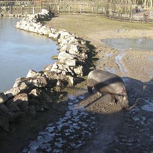 Hippo Lake - 09.02.2013