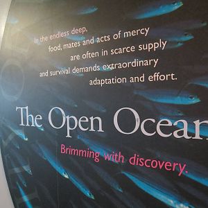 PPG Aquarium - The Open Ocean - Entry Sign